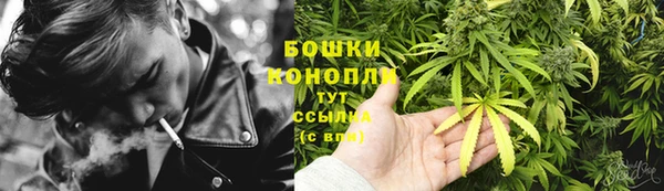 spice Абаза